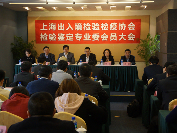 专业委员会